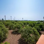 Il Limoneto Di Nonno Corrado Holiday home Avola