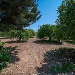 Holiday home Il Limoneto Di Nonno Corrado